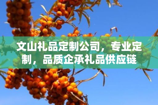 文山礼品定制公司，专业定制，品质企承礼品供应链